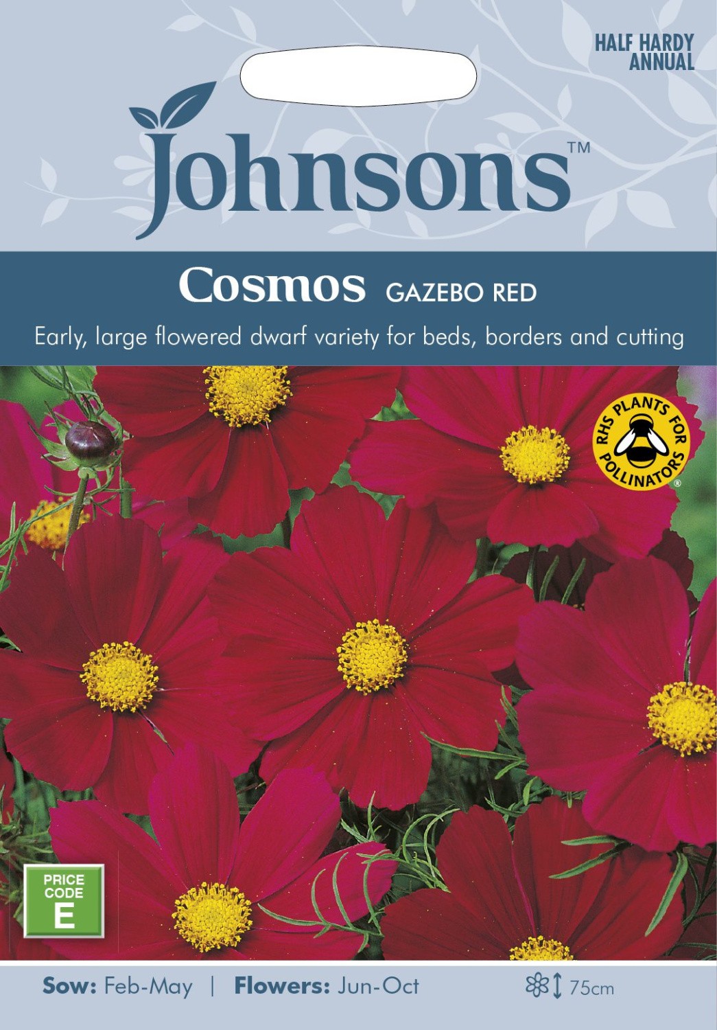 Kosmėjos paprastosios Gazebo Red