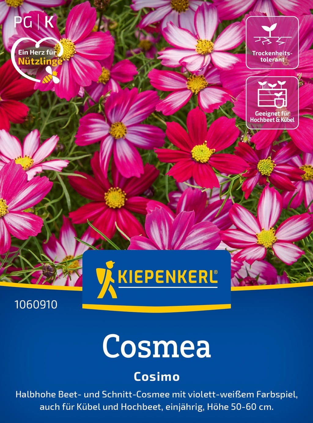 Kosmėjos Cosimo 30s