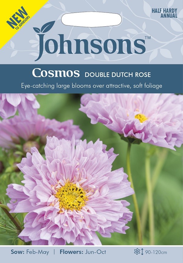 Kosmėjos Double Dutch Rose