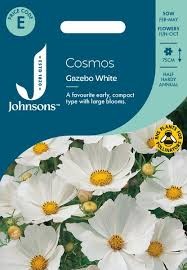 Kosmėjos paprastosios Gazebo White 75s