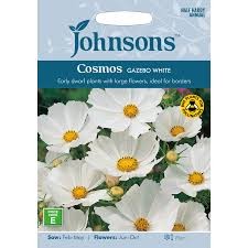 Kosmėjos paprastosios Gazebo White