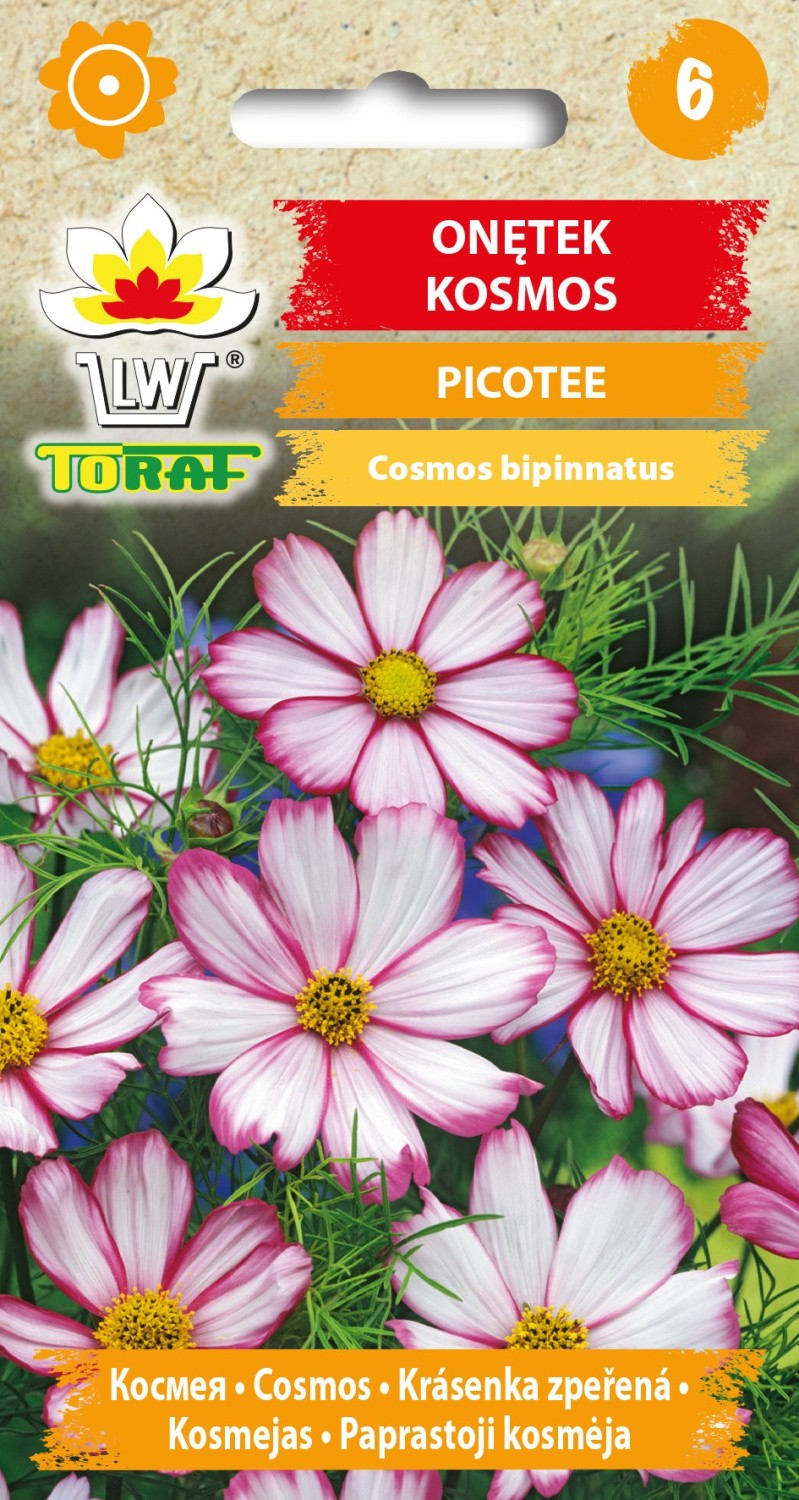 Kosmėjos Picotee