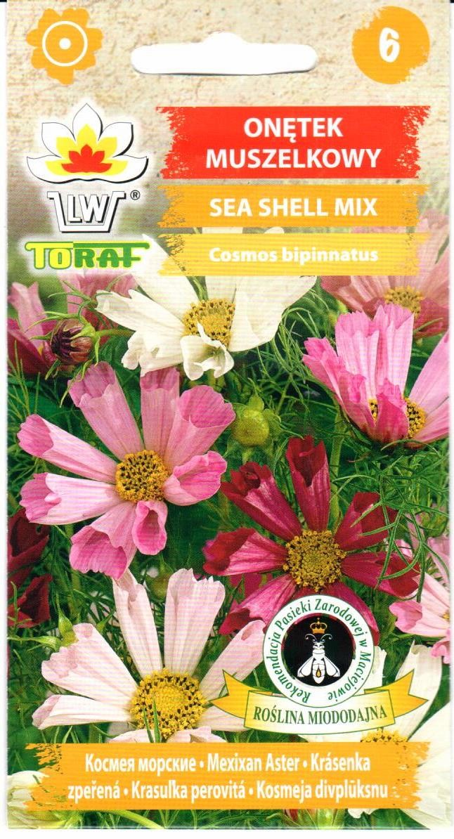 Kosmėjos Sea Shell (mišinys)