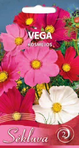 Kosmėjos paprastosios Vega (2 grupė)