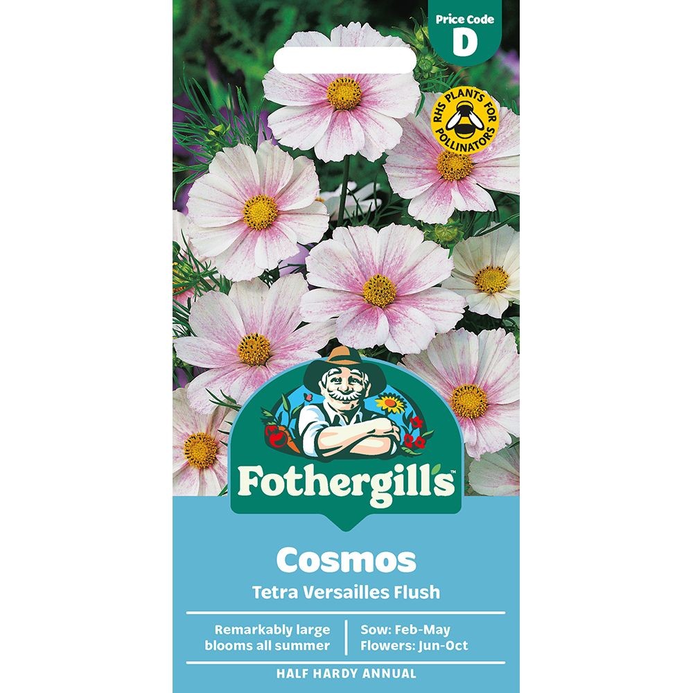 Kosmėjos paprastosios Tetra Versailles Flush 100s