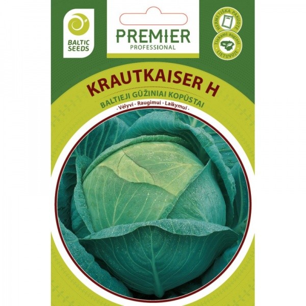 Kopūstai baltagūžiai vėlyvi Krautkaiser H 45s