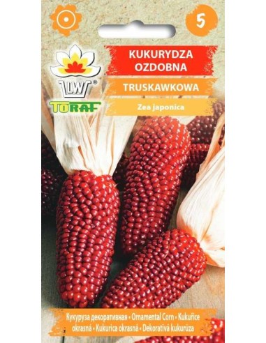 Kukurūzai dekoratyviniai