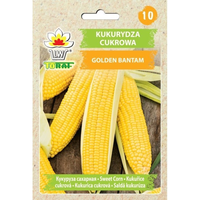 Kukurūzai saldieji Golden Bantam 20g