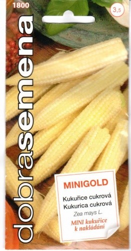 Kukurūzai saldieji Mini gold
