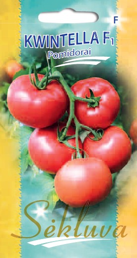 Pomidorai Kwintella F1 (F grupė)