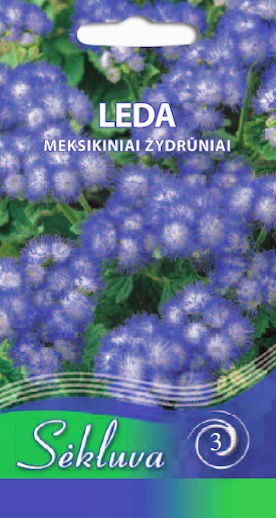 Žydrūnai meksikiniai Leda (3 grupė)