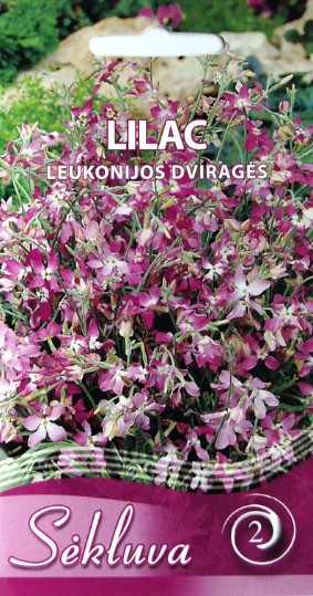 Leukonijos dviragės Lilac (2 grupė)
