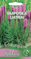 Liatriai varpotieji  (4 grupė)