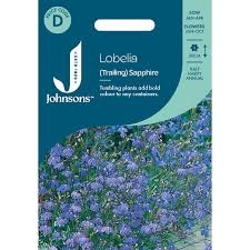 Lobelijos paprastosios Cambridge Blue 2500s