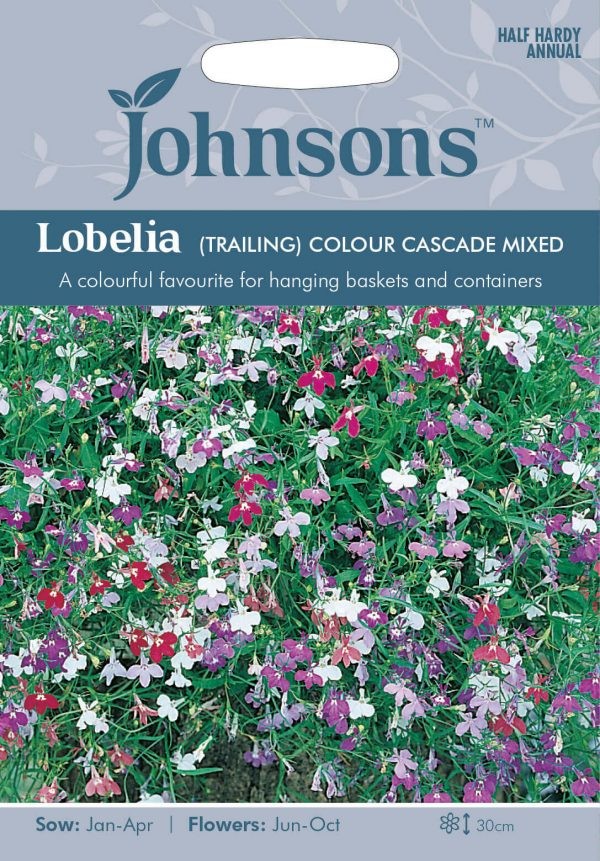 Lobelijos svyrančios Colour Cascade Mix