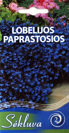 Lobelijos paprastosios Crystal Palace (2 grupė)