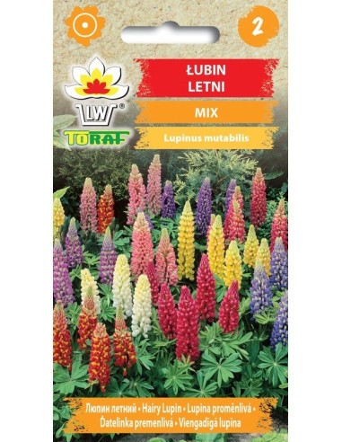 Lubinai (mišinys)