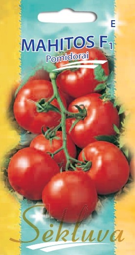 Pomidorai Mahitos (E grupė)