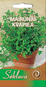 Mairūnai kvapieji (1 grupė)
