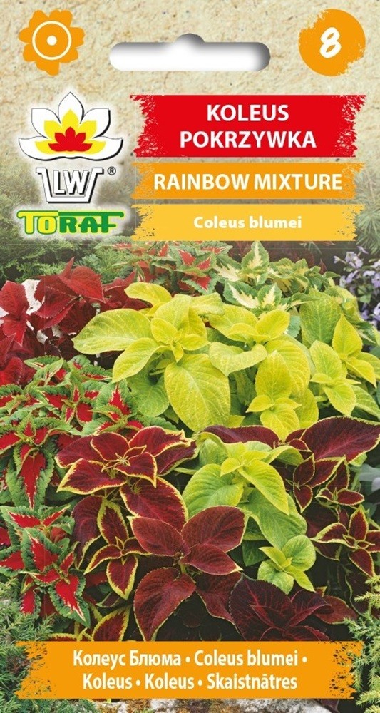 Margeniai darželiniai Rainbow (mišinys)
