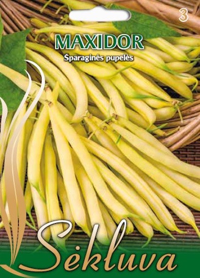 Pupelės žemaūgės Maxidor 15g (3 grupė)