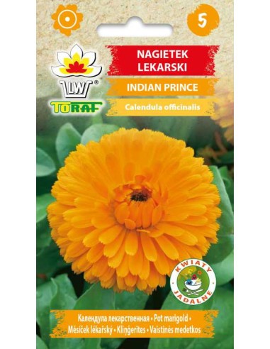 Medetkos vaistinės Indian Prince 1g