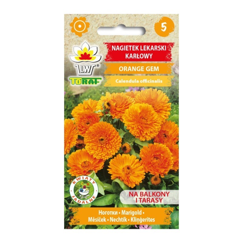 Medetkos vaistinės Orange Gem