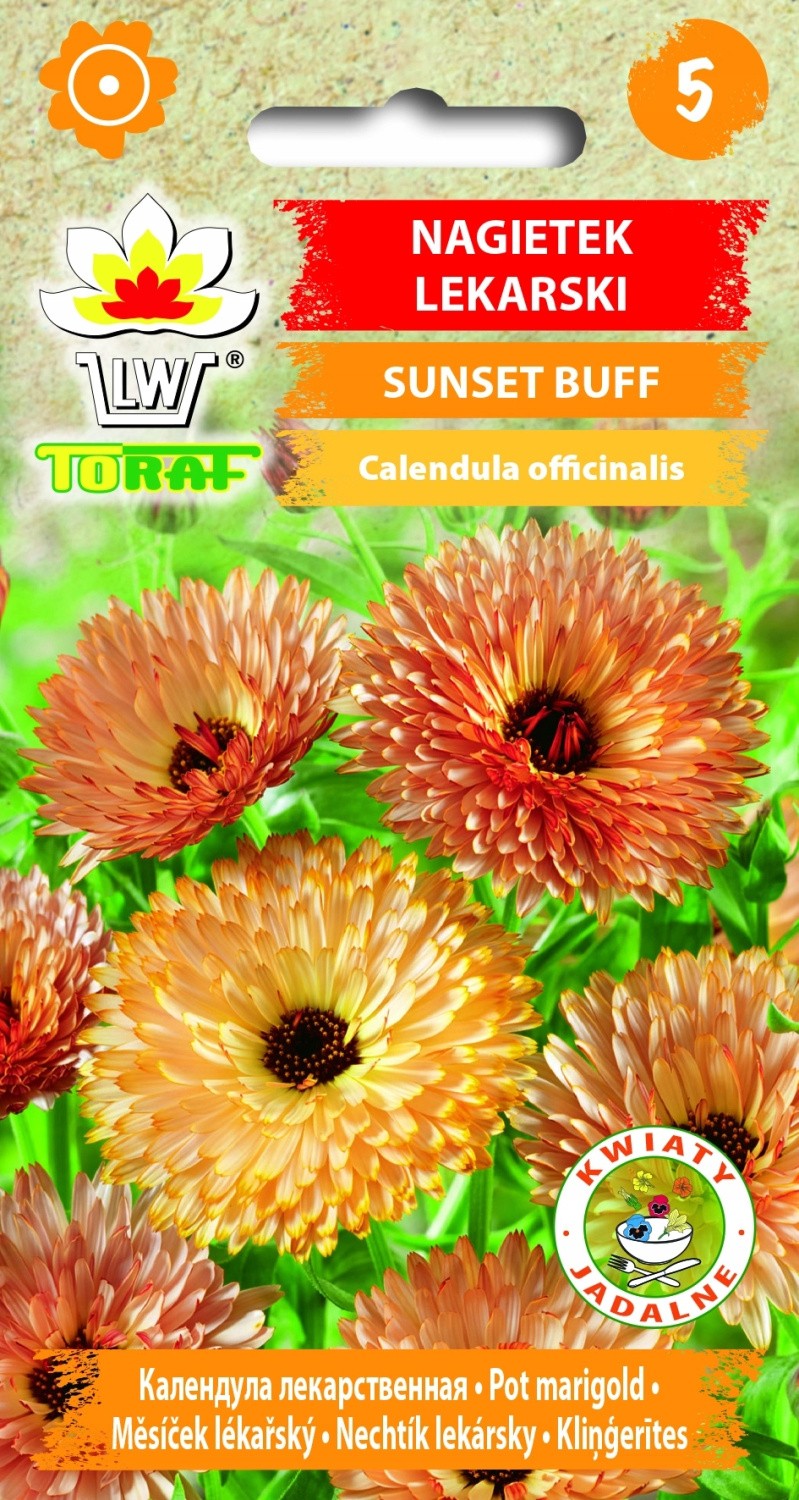 Medetkos Sunset Buff 1g