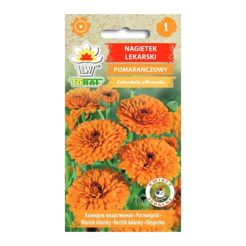 Medetkos vaistinės (oranžinės)
