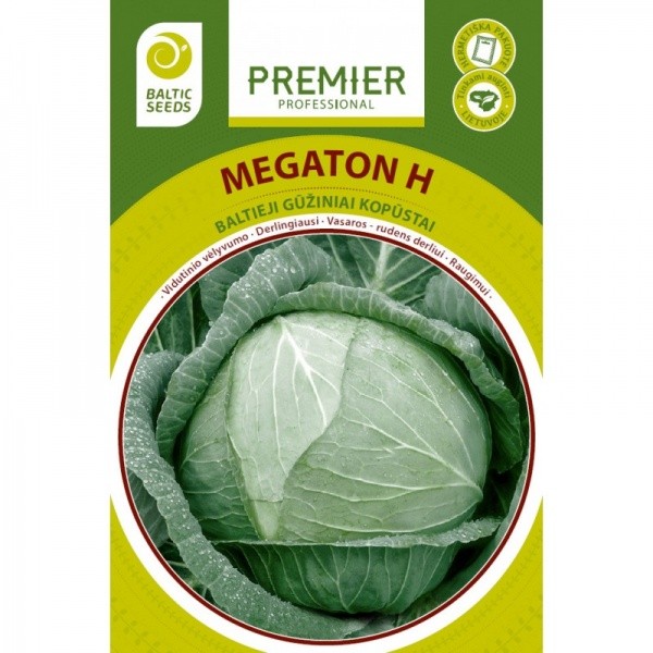 Kopūstai Megaton H