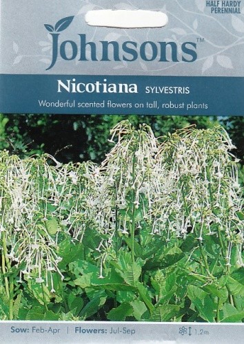 Tabakas miškinis Sylvestris