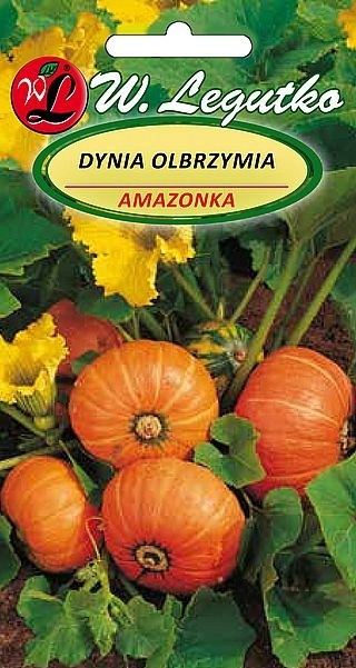 Moliūgai Amazonka 3g