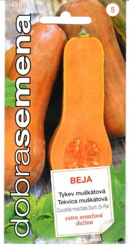 Moliūgai muskusiniai Beja