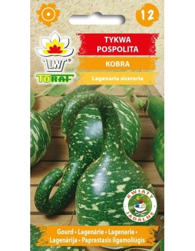 Ilgmoliūgiai paprastieji Kobra 1g
