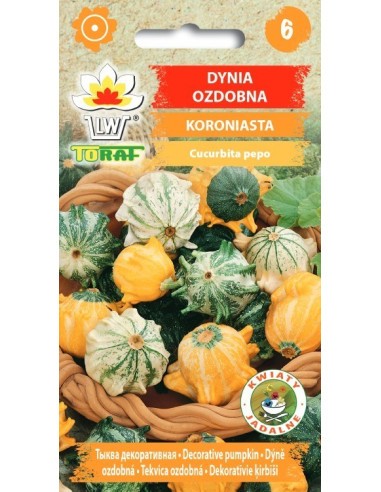 Moliūgai dekoratyviniai Koroniasta