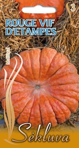 Moliūgai Rouge Vif D'etampes (3 grupė)