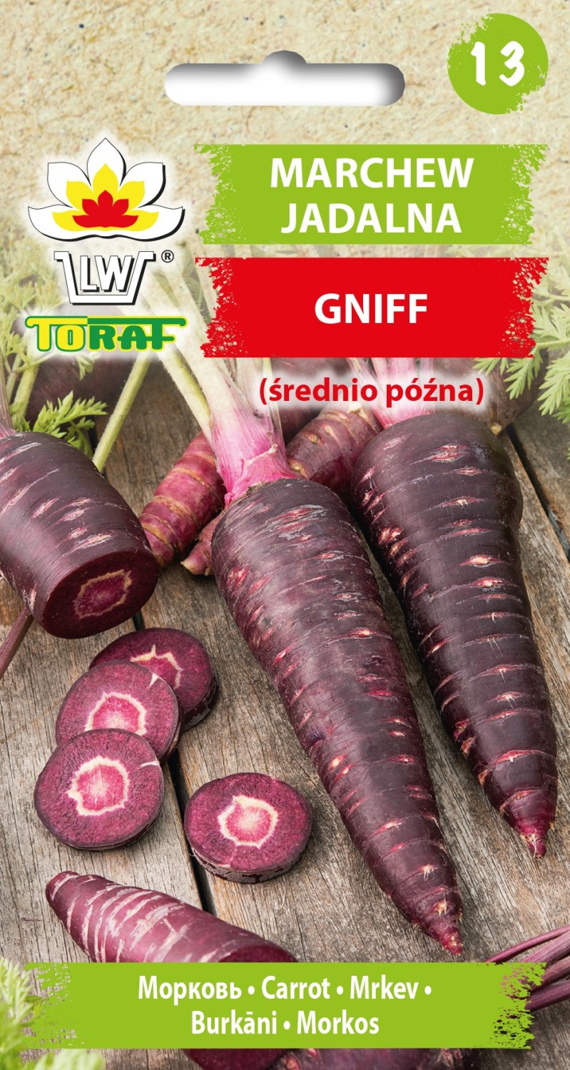 Morkos Gniff