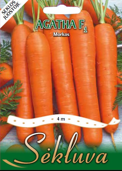 Morkos Agatha F1 (4m juostoje)