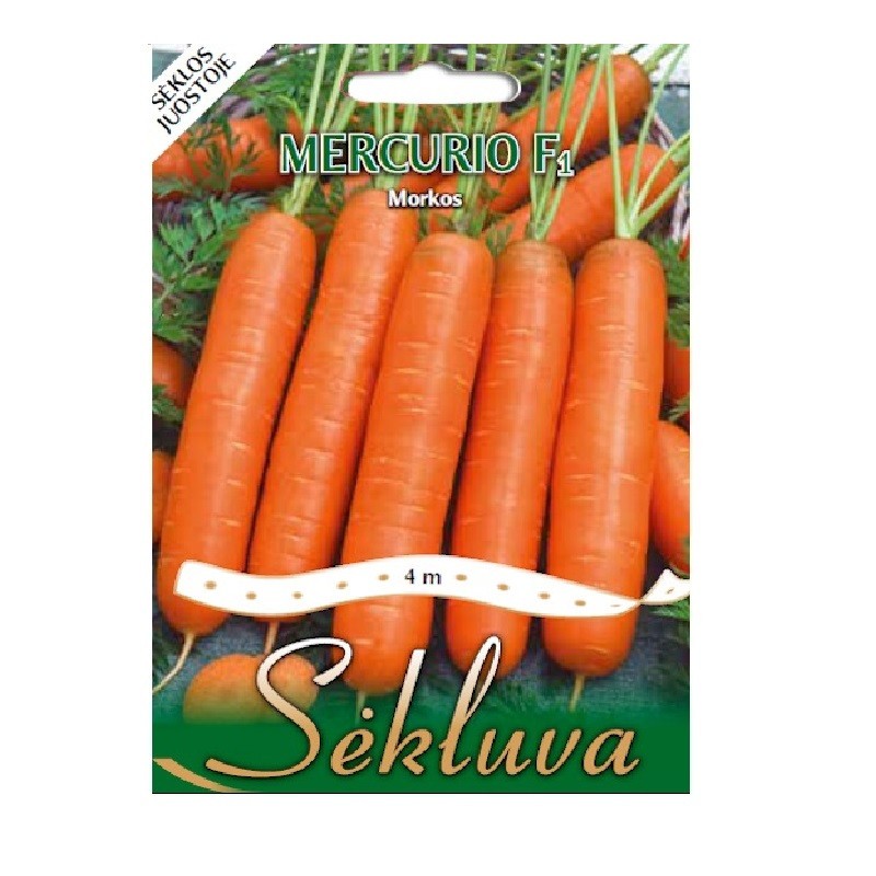 Morkos Mercurio (4m juostoje)