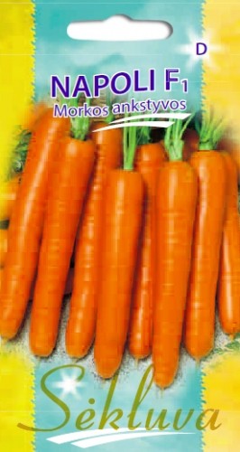 Morkos Napoli (D grupė)