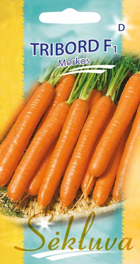 Morkos Tribord (D grupė) 500s