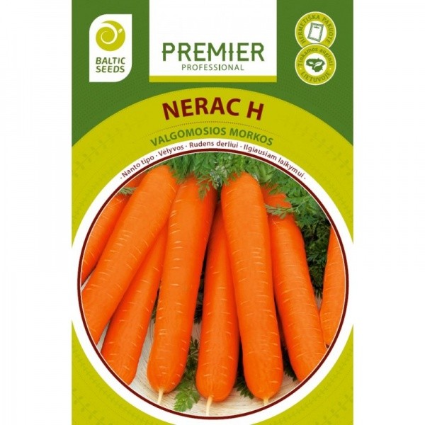 Morkos Nerac H