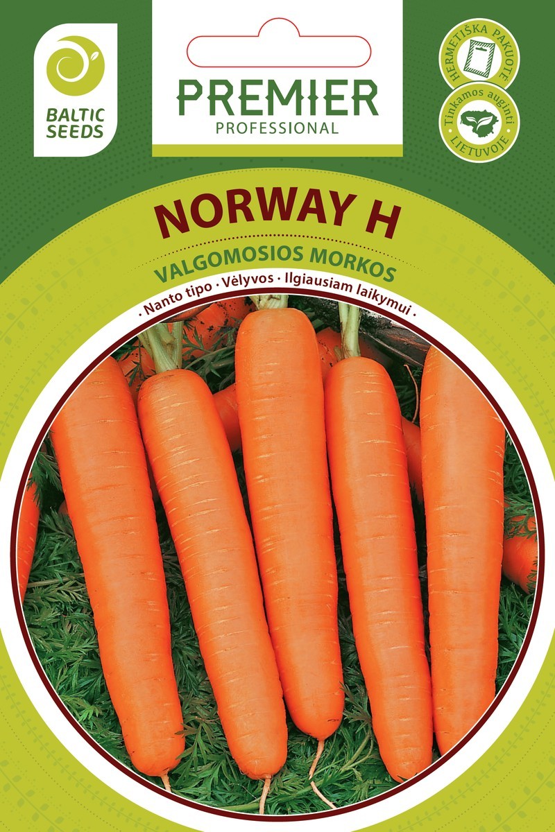 Morkos Norway H
