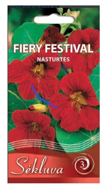 Nasturtės didžiosios  Fiery Festival (3 grupė)