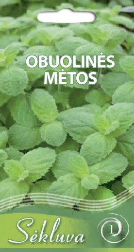 Mėtos obuolinės (1 grupė)
