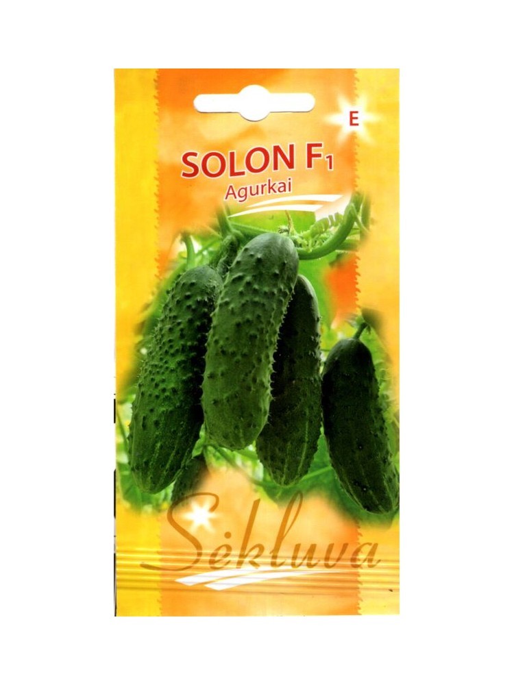 Agurkai Solon F1 (E grupė)