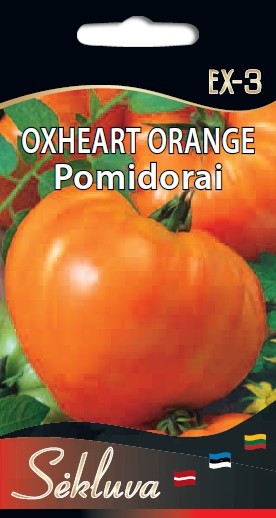 Pomidorai Oxheart Orange EX-3