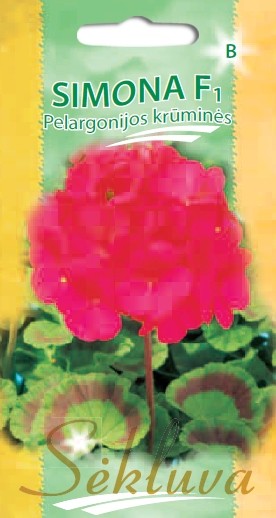 Pelargonijos krūminės Simona (B grupė)