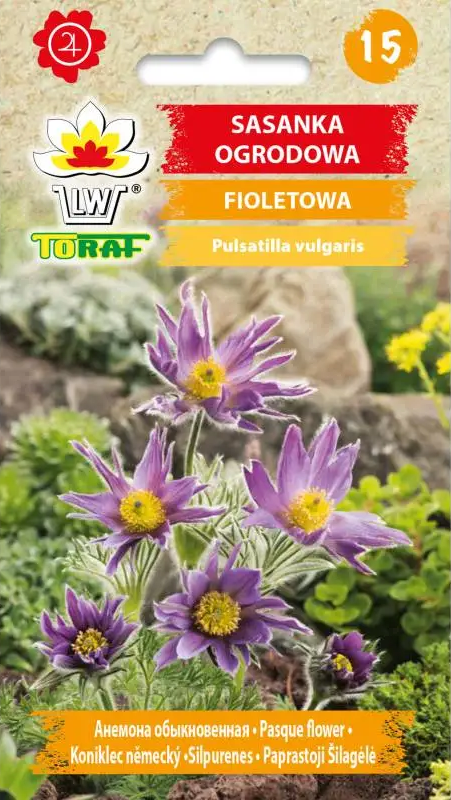 Paprastosios šilagėlės (violetinės) 0.2g