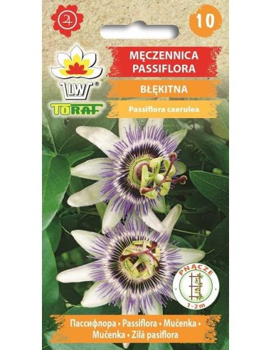 Pasifloros melsvosios
